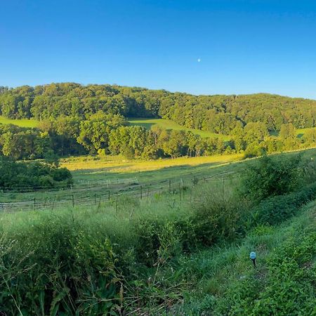 Bauernhof Fuer Naturliebhaber Bucha  Eksteriør billede